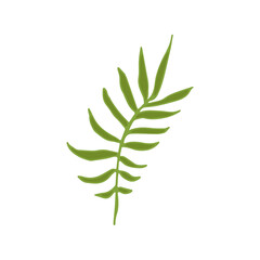 Hand drawn doodle floral element, colored abstract plant for decoration, isolated vector illustration