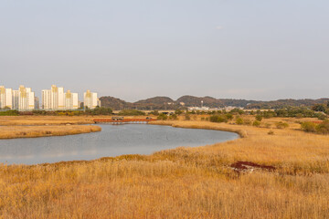panorama of the city