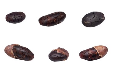 カカオ豆 カカオ イラスト リアル