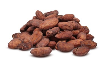 カカオ豆 カカオ イラスト リアル