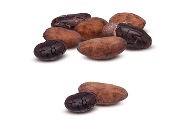 カカオ豆 カカオ イラスト リアル