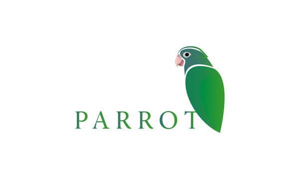 Art & Illustration of the Parrot Logo Design Vector Stock