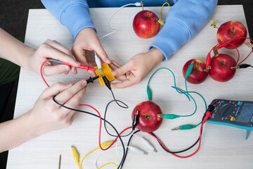 School experiment with apples. School students extract electricity from apples, use of the energy of a chemical reaction. Learning at table STEM and STEAM engineering science education class. - obrazy, fototapety, plakaty