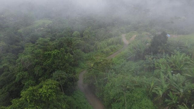 Aerial videos from above the atlantic forest in a cloudy day near the coast of Paraty, Rio de Janeio - Brazil