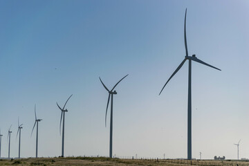 planta eolica para pruducir energia electrica renovable con las fuerzas del viento