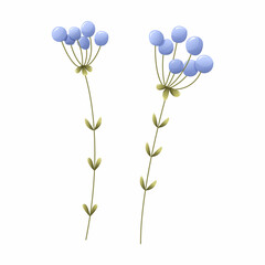 Vector illustration of violet flowers. Botanical, decorative wildflowers.