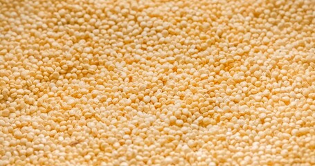 Closeup photo of natural dried seeds rotating