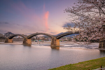 Cherry blossom at Kintaikyo bridge Iwakuni city, Japan
