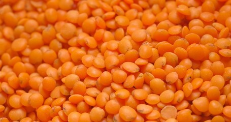 Closeup photo of natural dried red lentils rotating