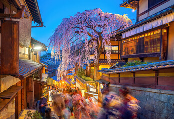 Fototapeta premium The historic Higashiyama district in Kyoto, Japan springtime with sakura tree