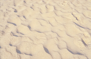 Fototapeta na wymiar Sand texture on the beach in summer close up. Full screen as background.
