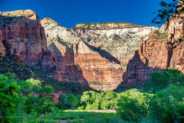 Mountains and trees of Zion National park, Utah - USA.