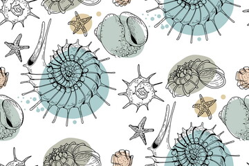 Fototapety  Seamless pattern of colored and graphics seashells. Set of seashells for background and design. Set of colorful hand drawn seashells for web design. Set of isolated sea shells on a white background.