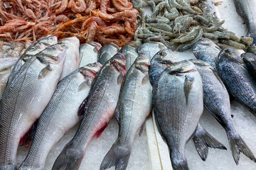 Fototapeta premium Fresh fish and seafood at fish market stall as seafood background. Variety of fresh seafood