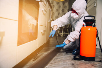 An exterminator in work clothes sprays pesticides with a spray gun. Fight against insects in...