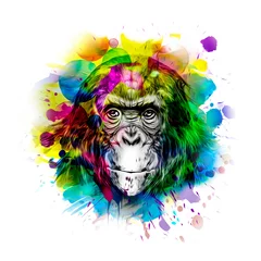 Poster Colorful artistic monkey's head on background with colorful creative elements © reznik_val