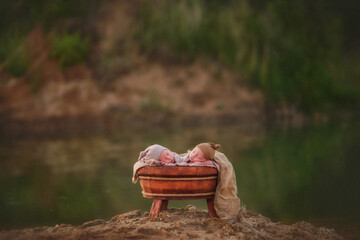 Twins. The large family. Brothers. Newborn babies. Boys. Newborn twins in a trough on the lake. Happy family. Sweet babies. Twins. Summer day. Newborns on the lake. Newborn twins in nature - obrazy, fototapety, plakaty