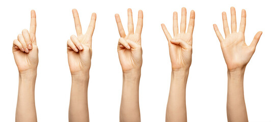 Female hands counting from 1,2,3,4,5 isolated on white. Beautiful female fingers show countdown...