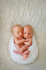 Twins. The large family. Brothers. Newborn babies. Boys. Newborn twins together. Love. Happy family. Sweet babies. Twins. Newborn babies are fast asleep. Newborn twins hug each other. Newborn portrait