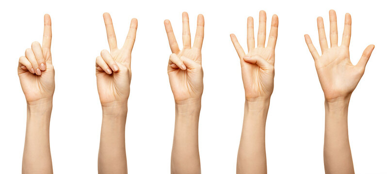 Five fingers stock photo. Image of communication, individuality - 11282876