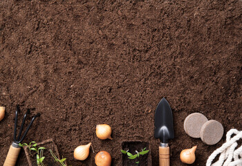 Planting plants, garden tools, ground background, planting tool
