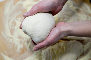 homemade pizza processing