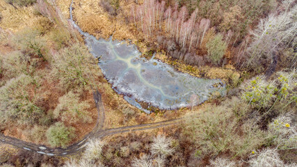 The oxbow lakes of the Odra River near the Vratislavia in Poland