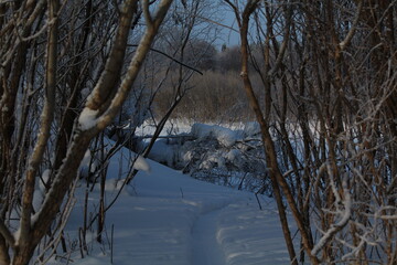 frozen lake in winter