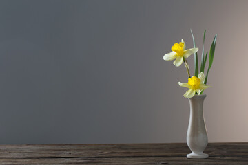 yellow narcissus  in vase on wooden table on dark background