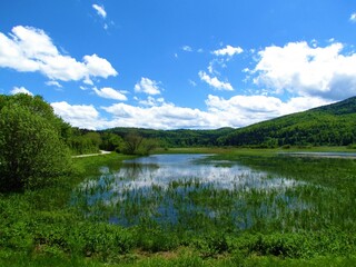 Beautiful marsh at lake Cerknica in Notranjska, Slovenia with aquatic vegetation and a reflection in the water