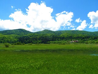 Obraz premium Javorniki mountains covered in mixed conifer and broadleaf forest in Notranjska, Slovenia and field near lake Cerknica in front