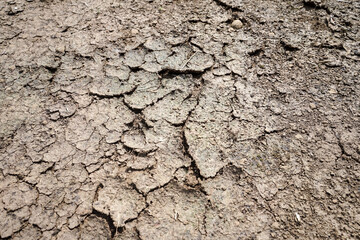 Part of a huge area dried land suffering from drought - in cracks. Dry water reservoir. Natural drought concept: dried cracked earth soil ground texture background. Rough land dry crack erosion