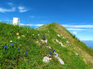 Top of Golica mountain in Karavanke, Gorenjska, Slovenia with a border stone next blue spring...