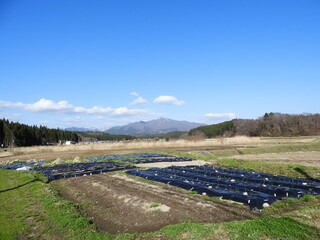 早春の農村風景