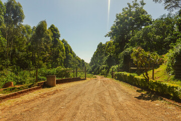 A dirt road against forest at Aberdare National Park, Kenya