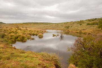 Scenic view of a river in the moorland zone of  Aberdare National Park, Kenya