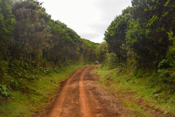 A safari jeep on a dirt road against forest at Aberdare National Park, Kenya