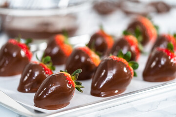 Chocolate dipped strawberries