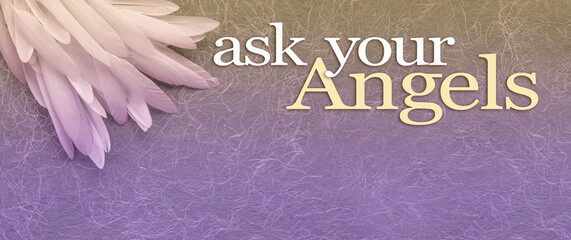 Feather theme Ask Your Angels Message banner background - long thin white bird feathers in left...
