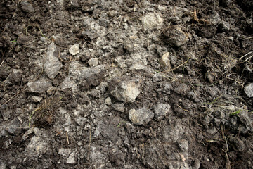 Soil in a plowed field (eastern Poland, near Slawatycze)