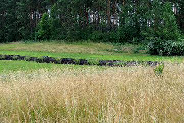 A new drainage ditch on a peat bog in the Kuyavian-Pomeranian Voivodeship (Poland)