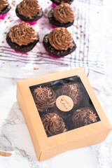 Chocolate ganache cupcake