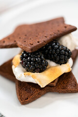 Fruit Smores
