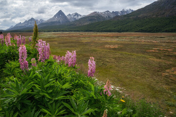 Landscape of Tierra del Fuego, Southern Argentina
