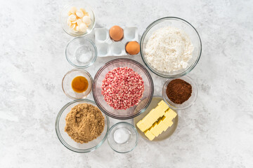Chocolate cookies with peppermint chips