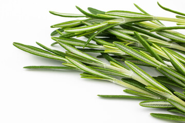 Rosemary. Fresh rosemary twigs isolated on white background.