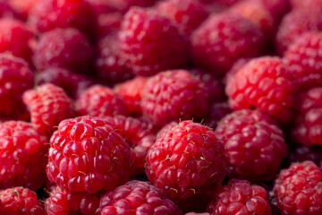 Raspberry. Ripe sweet raspberry background. Close up image.
