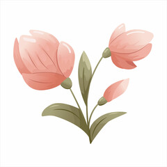 Vector illustration of magnolia flowers isolated on white background.