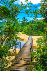 Mangrove and Pouso beach with bridge island Ilha Grande Brazil.
