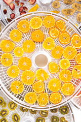 cut pieces of fruit kiwi, strawberry, banana, orange, on round grates after drying, in special equipment, top view